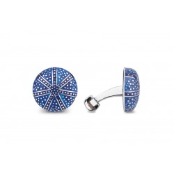Echinoidea Blu